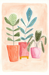 The Three Plants