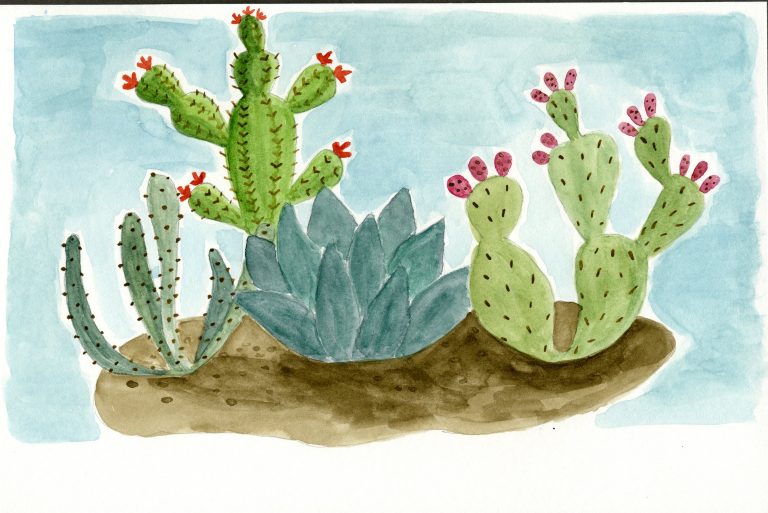 Cactus Watercolor